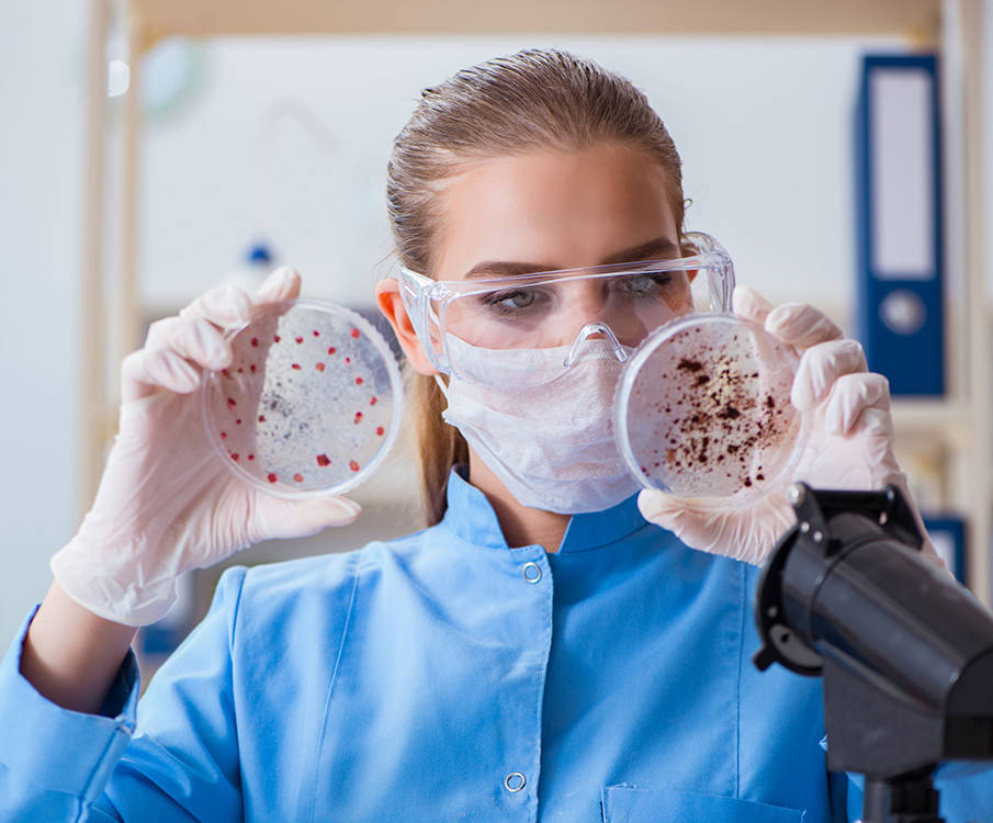 A laboratory worker with a mask and glasses holds petri dishes in both hands for comparison