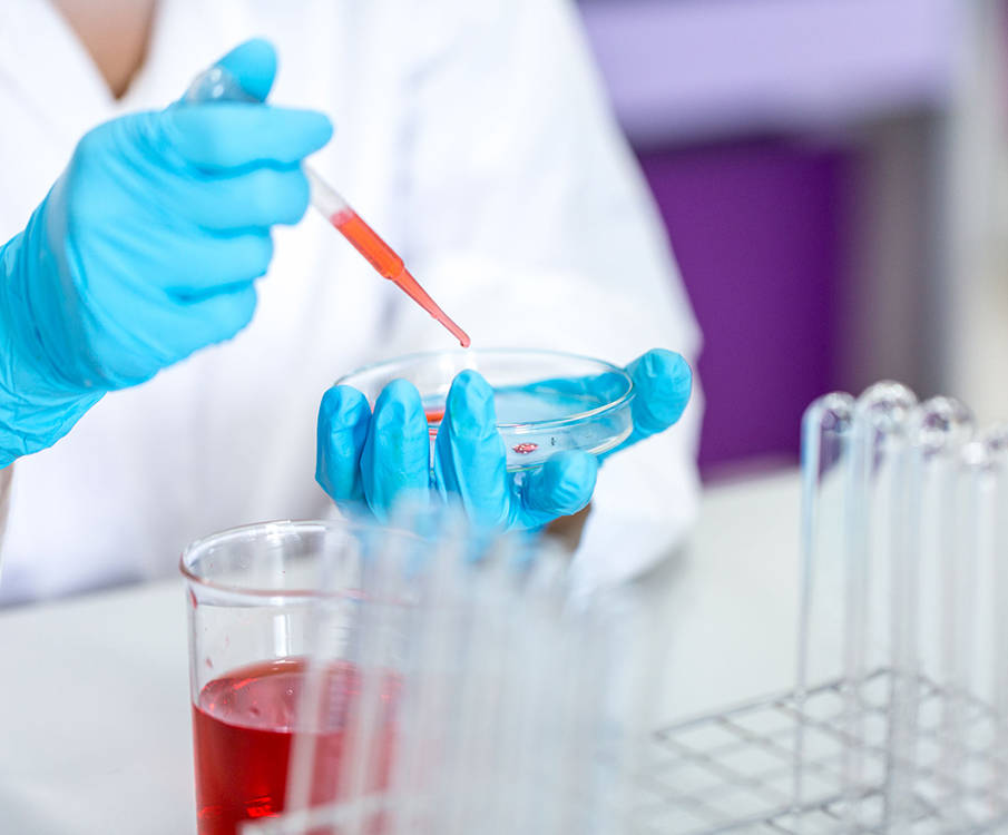 Laboritöötaja tilgutab pipetiga petri tassile punast ainet